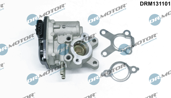 Zawór EGR DR.MOTOR AUTOMOTIVE DRM131101