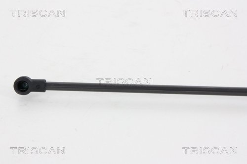 Sprężyna gazowa TRISCAN 8710 66207