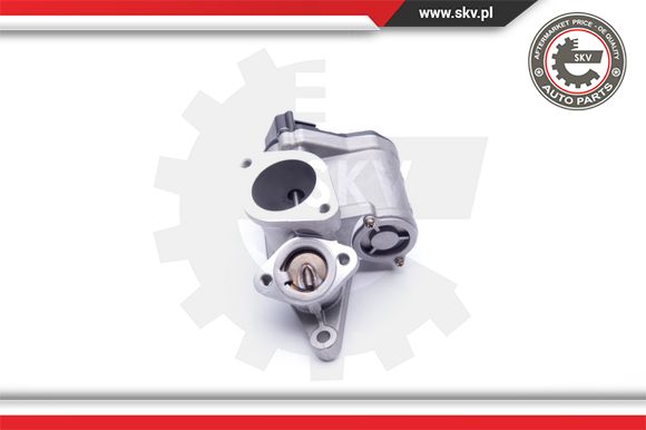 Zawór EGR ESEN SKV 14SKV165