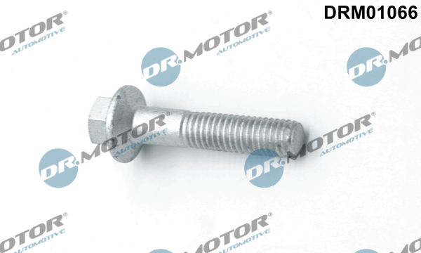 Śruba wtryskiwacza DR.MOTOR AUTOMOTIVE DRM01066