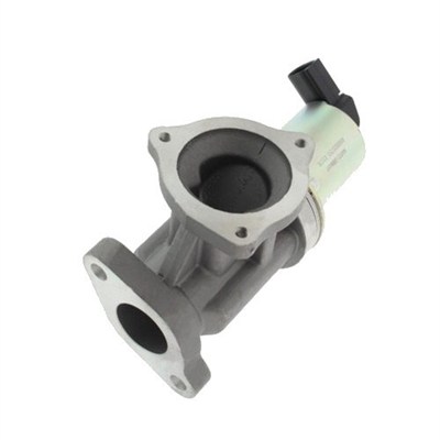 Zawór EGR MAGNETI MARELLI 571822112012