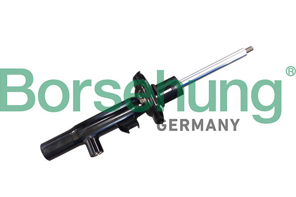 Amortyzator BORSEHUNG B11178