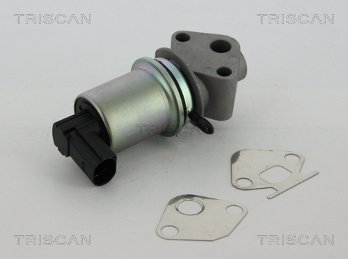 Zawór EGR TRISCAN 8813 29004