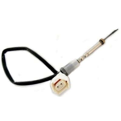 Czujnik  temperatury spalin MEAT & DORIA 12290