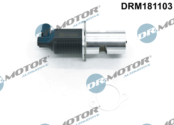 Zawór EGR DR.MOTOR AUTOMOTIVE DRM181103