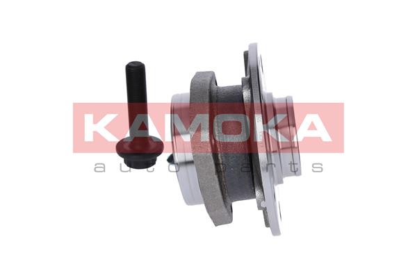Zestaw łożysk koła KAMOKA 5500066