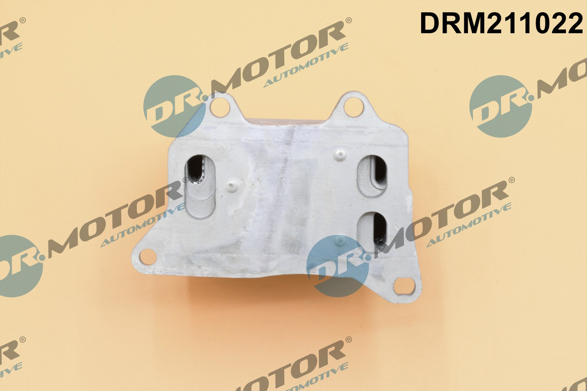 Chłodnica oleju silnikowego DR.MOTOR AUTOMOTIVE DRM211022