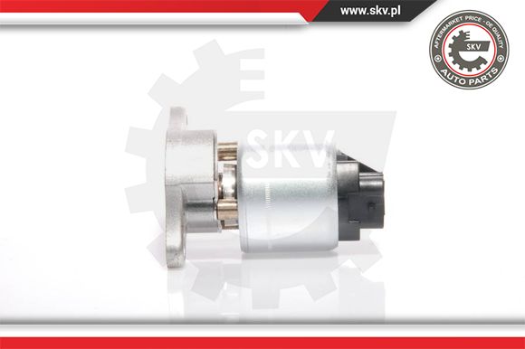 Zawór EGR ESEN SKV 14SKV035