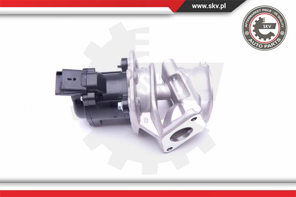 Zawór EGR ESEN SKV 14SKV202