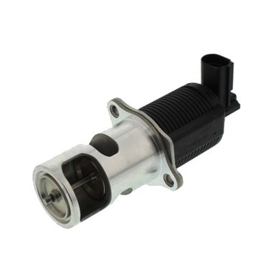 Zawór EGR MAGNETI MARELLI 571822112008