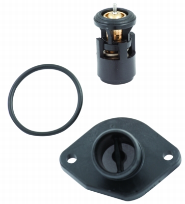 Termostat MEAT & DORIA 92480K
