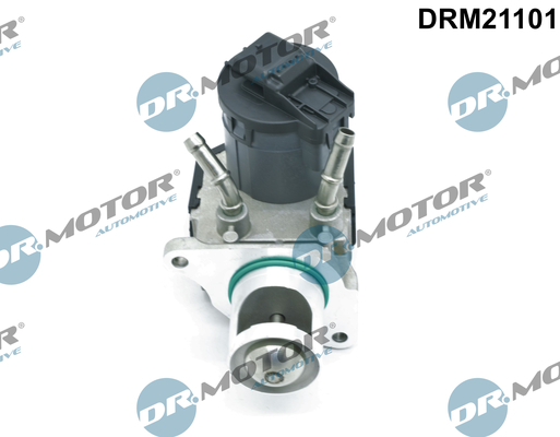 Zawór EGR DR.MOTOR AUTOMOTIVE DRM21101