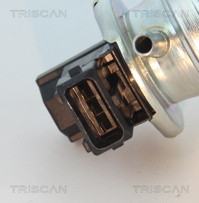 Zawór EGR TRISCAN 8813 24203