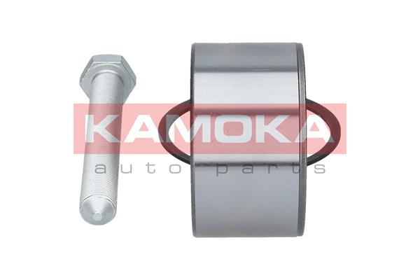 Zestaw łożysk koła KAMOKA 5600093