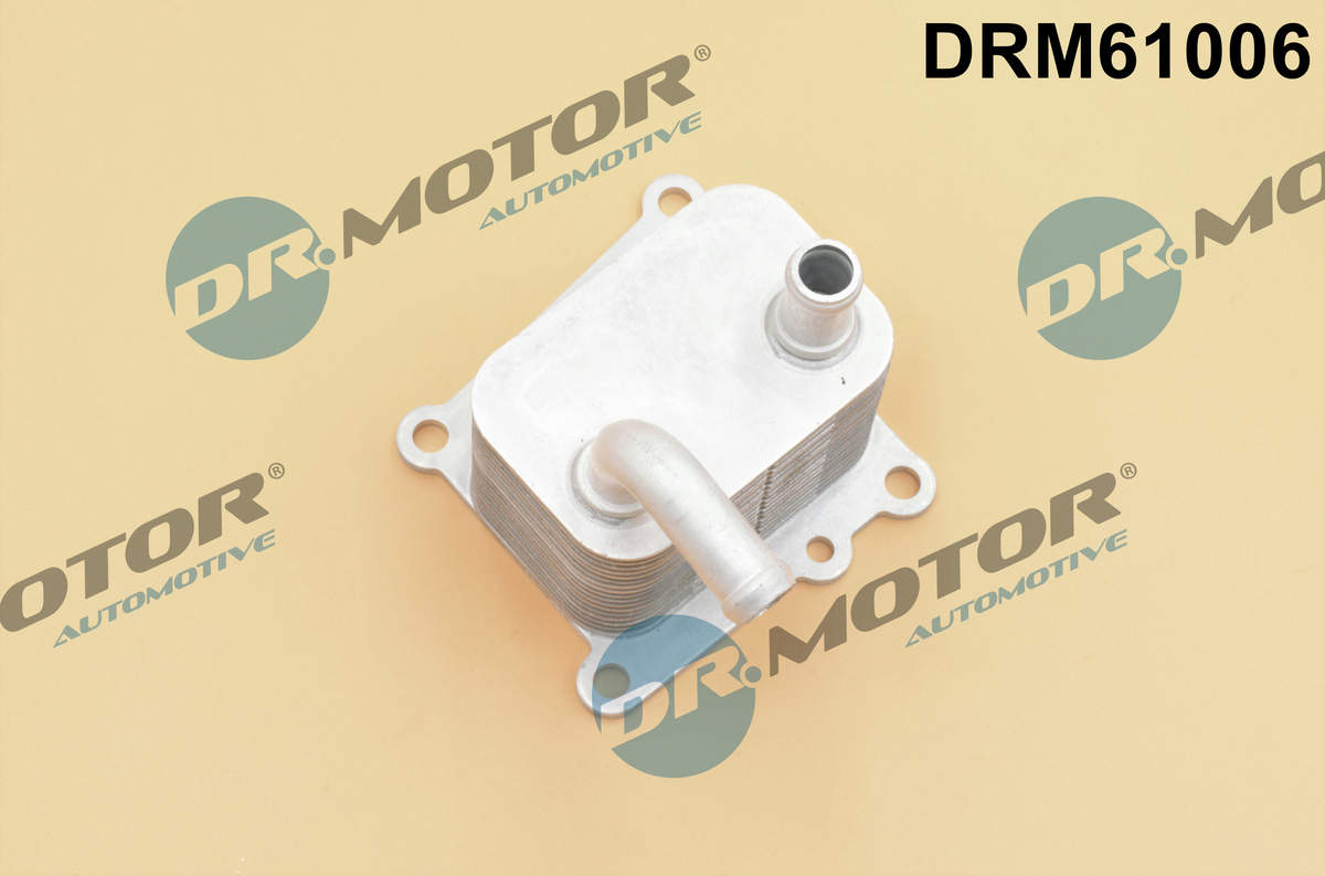 Chłodnica oleju silnikowego DR.MOTOR AUTOMOTIVE DRM61006