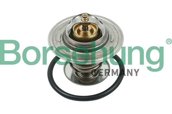 Termostat BORSEHUNG B13141