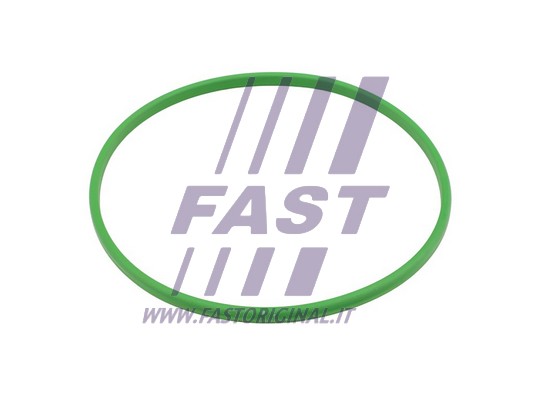 Uszczelka pompy paliwa FAST FT48503