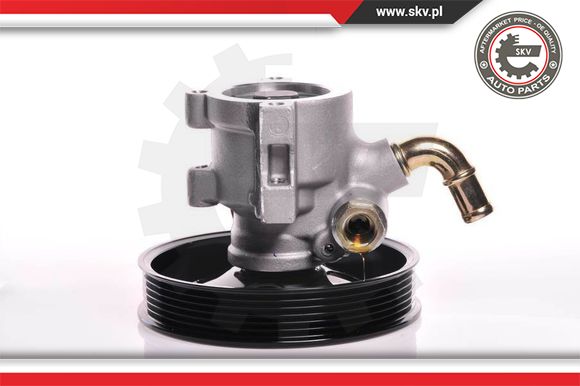 Pompa wspomagania ESEN SKV 10SKV142