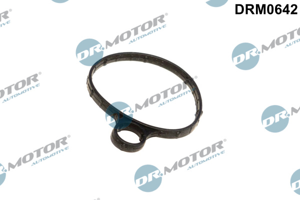 Uszczelka pompy podcisnieniowej DR.MOTOR AUTOMOTIVE DRM0642