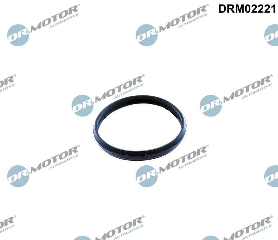 Uszczelka, sterowanie silnikowe DR.MOTOR AUTOMOTIVE DRM02221