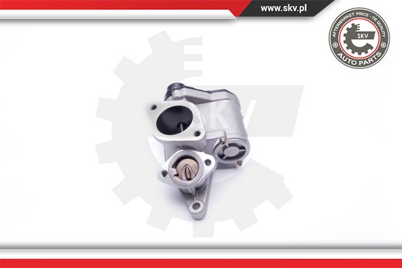 Zawór EGR ESEN SKV 14SKV168