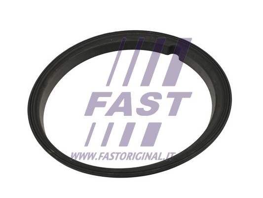 Uszczelka kosza pompy paliwa FAST FT48502