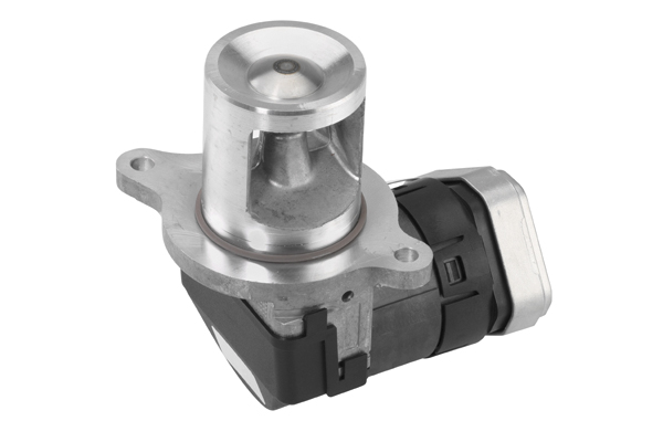 Zawór EGR WAHLER 7645D