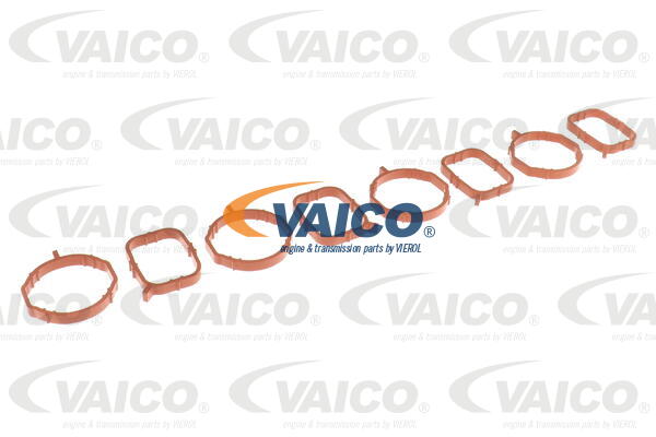 VAICO V10-6484