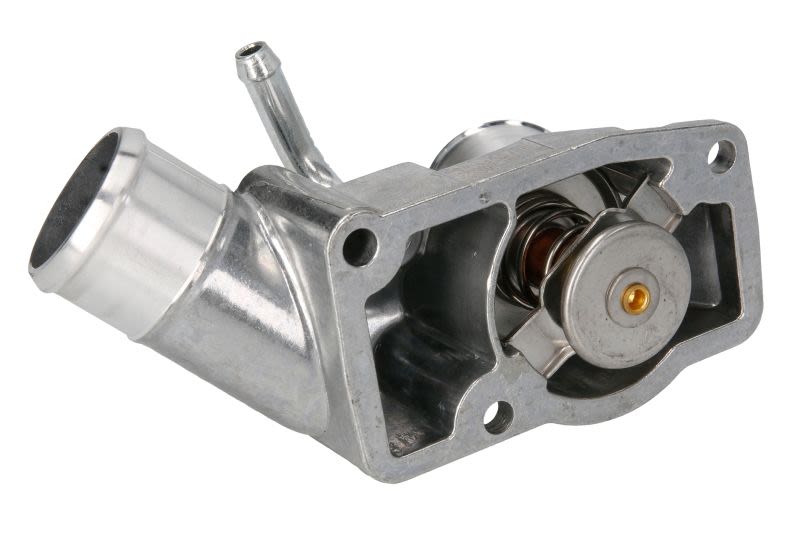 Termostat THERMOTEC D2X024TT