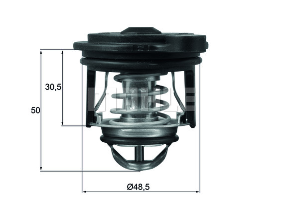 Termostat BEHR TI 246 50