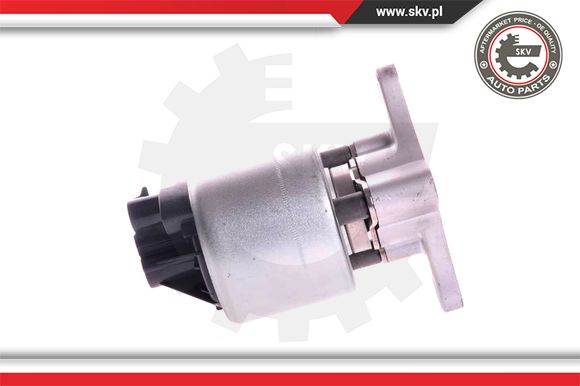 Zawór EGR ESEN SKV 14SKV002