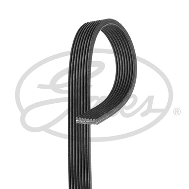 Pasek klinowy wielorowkowy GATES 8DPK1630HD