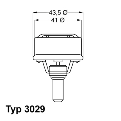 Termostat WAHLER 3029.89