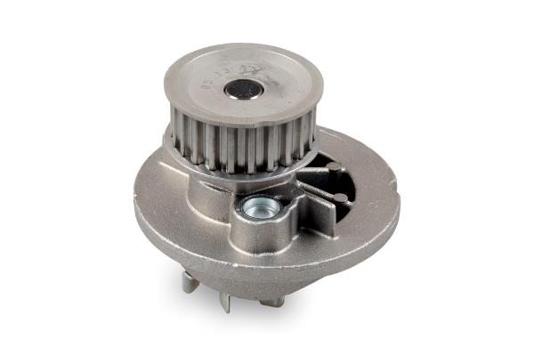 Pompa wody HEPU P324