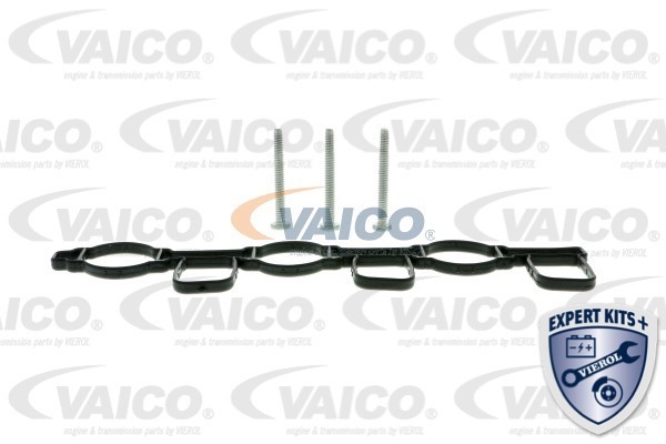 Kolektor ssący VAICO V10-3949