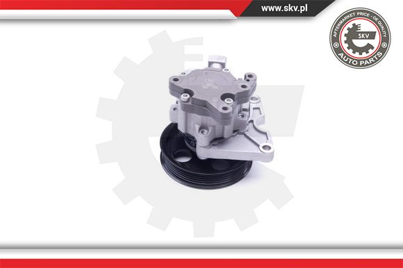 Pompa wspomagania ESEN SKV 10SKV273