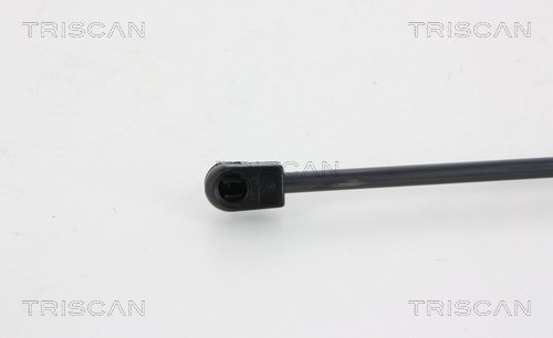 Sprężyna gazowa TRISCAN 8710 29294