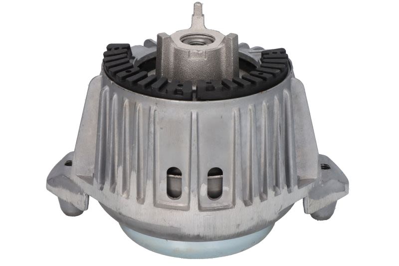 Poduszka silnika REINHOCH RH11-3101