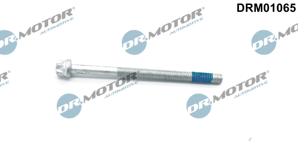 Śruba wtryskiwacza DR.MOTOR AUTOMOTIVE DRM01065