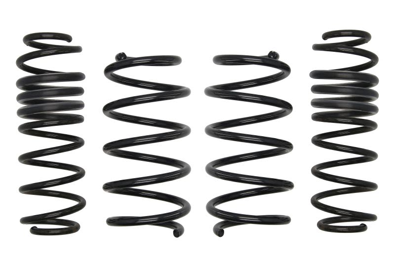 Zestaw zawieszenia obniżającego EIBACH E10-40-011-11-22