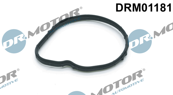 Uszczelka termostatu DR.MOTOR AUTOMOTIVE DRM01181