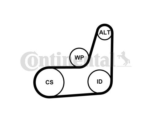 Zestaw paska osprzętu CONTINENTAL CTAM 6PK1019 ELAST T2