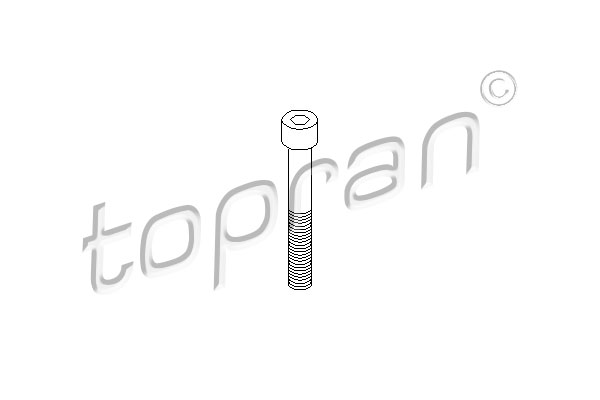 Śruba zacisku hamulcowego TOPRAN 110 707