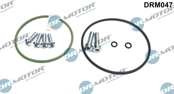 Zestaw naprawczy pompy podciśnienia DR.MOTOR AUTOMOTIVE DRM047