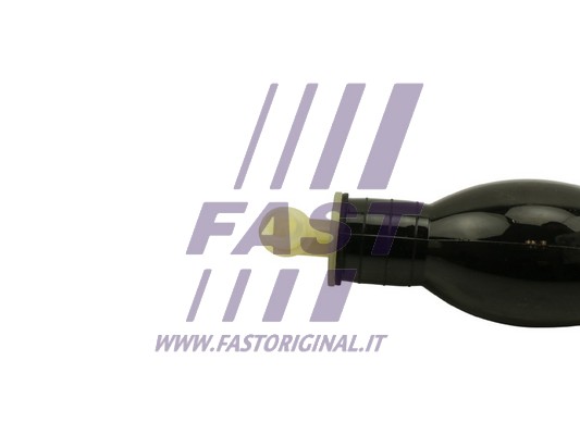 Moduł pompy paliwa FAST FT53048