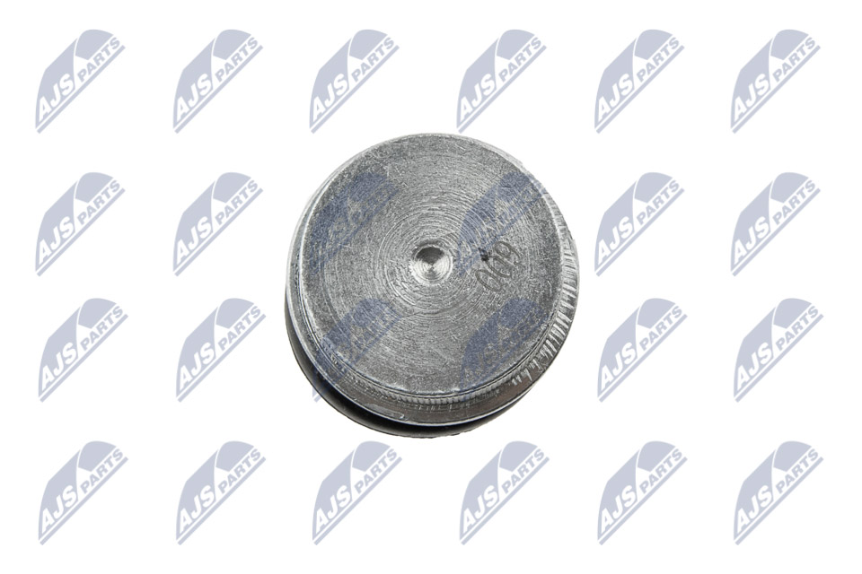 Sworzeń wahacza NTY ZSD-CH-009