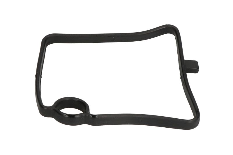 Uszczelka odmy ELRING 767.500