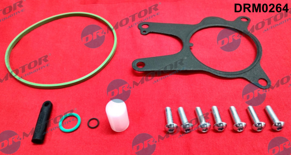 Zestaw naprawczy pompy podciśnienia DR.MOTOR AUTOMOTIVE DRM0264