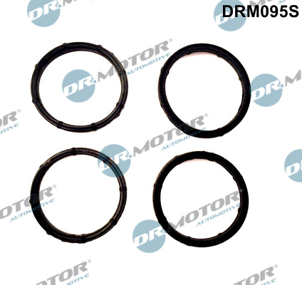 Zestaw uszczelek kolektora ssącego DR.MOTOR AUTOMOTIVE DRM095S