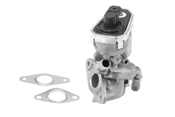 Zawór EGR WAHLER 710941R